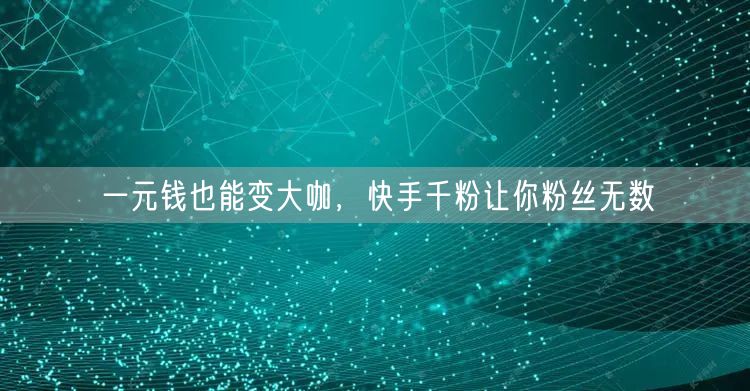 一元钱也能变大咖，快手千粉让你粉丝无数